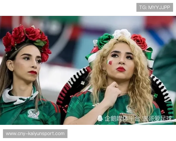 世界杯球迷行为学:为何球迷会为球队走天涯? 世界杯球迷行为学:为何球迷会为球队走天涯?