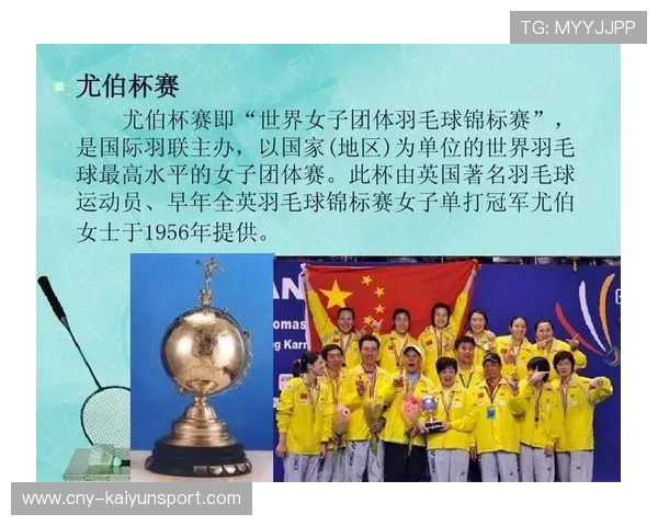 世界羽毛球团体赛季后球队管理制度改良，羽毛球队伍